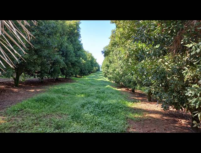 150HA FARM FOR SALE IN NELSPRUIT RURAL